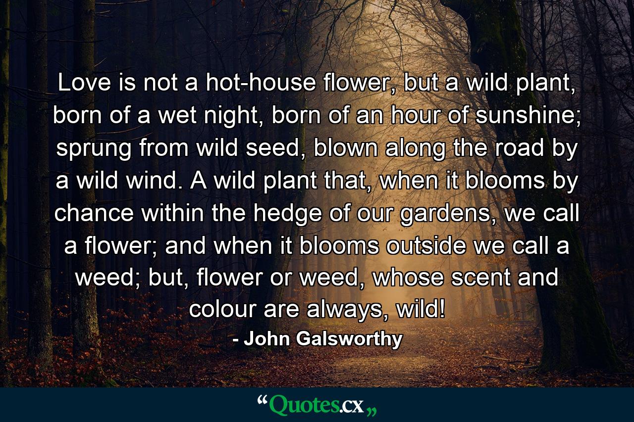 Love is not a hot-house flower, but a wild plant, born of a wet night, born of an hour of sunshine; sprung from wild seed, blown along the road by a wild wind. A wild plant that, when it blooms by chance within the hedge of our gardens, we call a flower; and when it blooms outside we call a weed; but, flower or weed, whose scent and colour are always, wild! - Quote by John Galsworthy