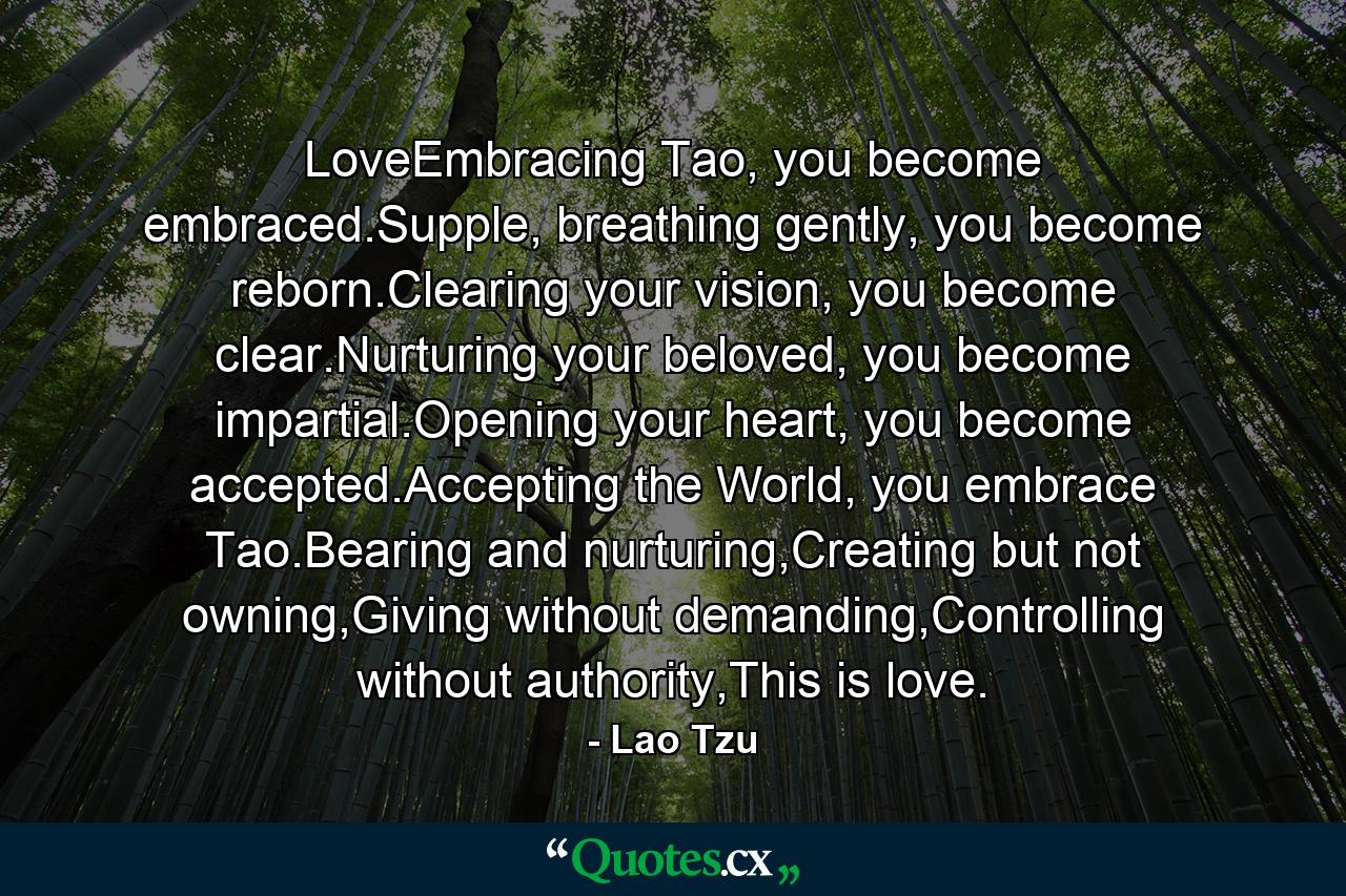 LoveEmbracing Tao, you become embraced.Supple, breathing gently, you become reborn.Clearing your vision, you become clear.Nurturing your beloved, you become impartial.Opening your heart, you become accepted.Accepting the World, you embrace Tao.Bearing and nurturing,Creating but not owning,Giving without demanding,Controlling without authority,This is love. - Quote by Lao Tzu