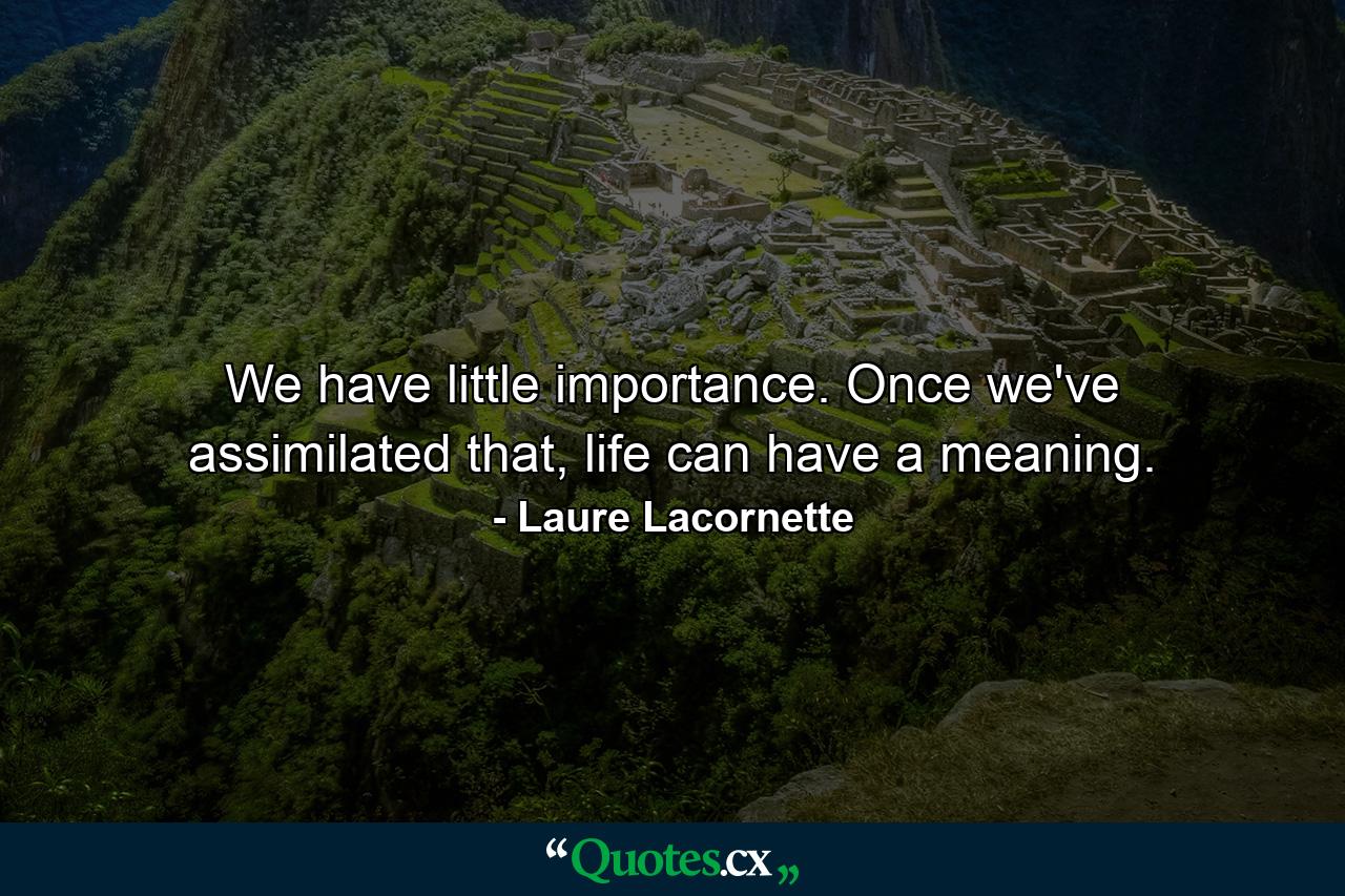 We have little importance. Once we've assimilated that, life can have a meaning. - Quote by Laure Lacornette