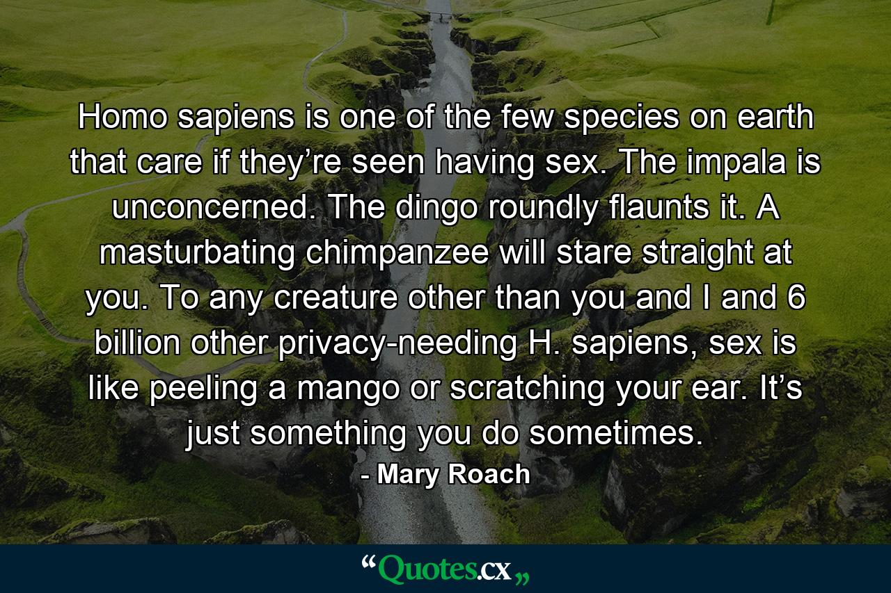 Homo sapiens is one of the few species on earth that care if they’re seen having sex. The impala is unconcerned. The dingo roundly flaunts it. A masturbating chimpanzee will stare straight at you. To any creature other than you and I and 6 billion other privacy-needing H. sapiens, sex is like peeling a mango or scratching your ear. It’s just something you do sometimes. - Quote by Mary Roach