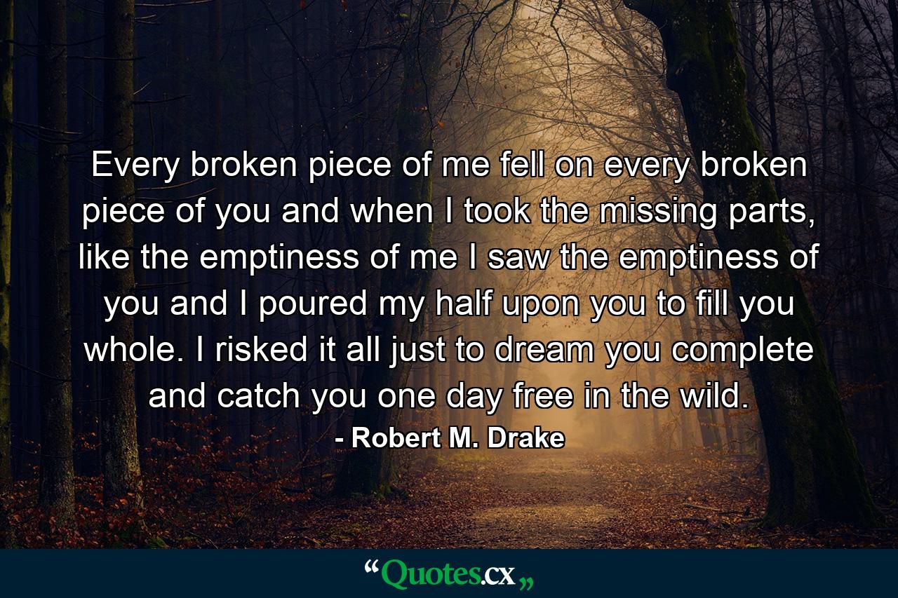 Every broken piece of me fell on every broken piece of you and when I took the missing parts, like the emptiness of me I saw the emptiness of you and I poured my half upon you to fill you whole. I risked it all just to dream you complete and catch you one day free in the wild. - Quote by Robert M. Drake