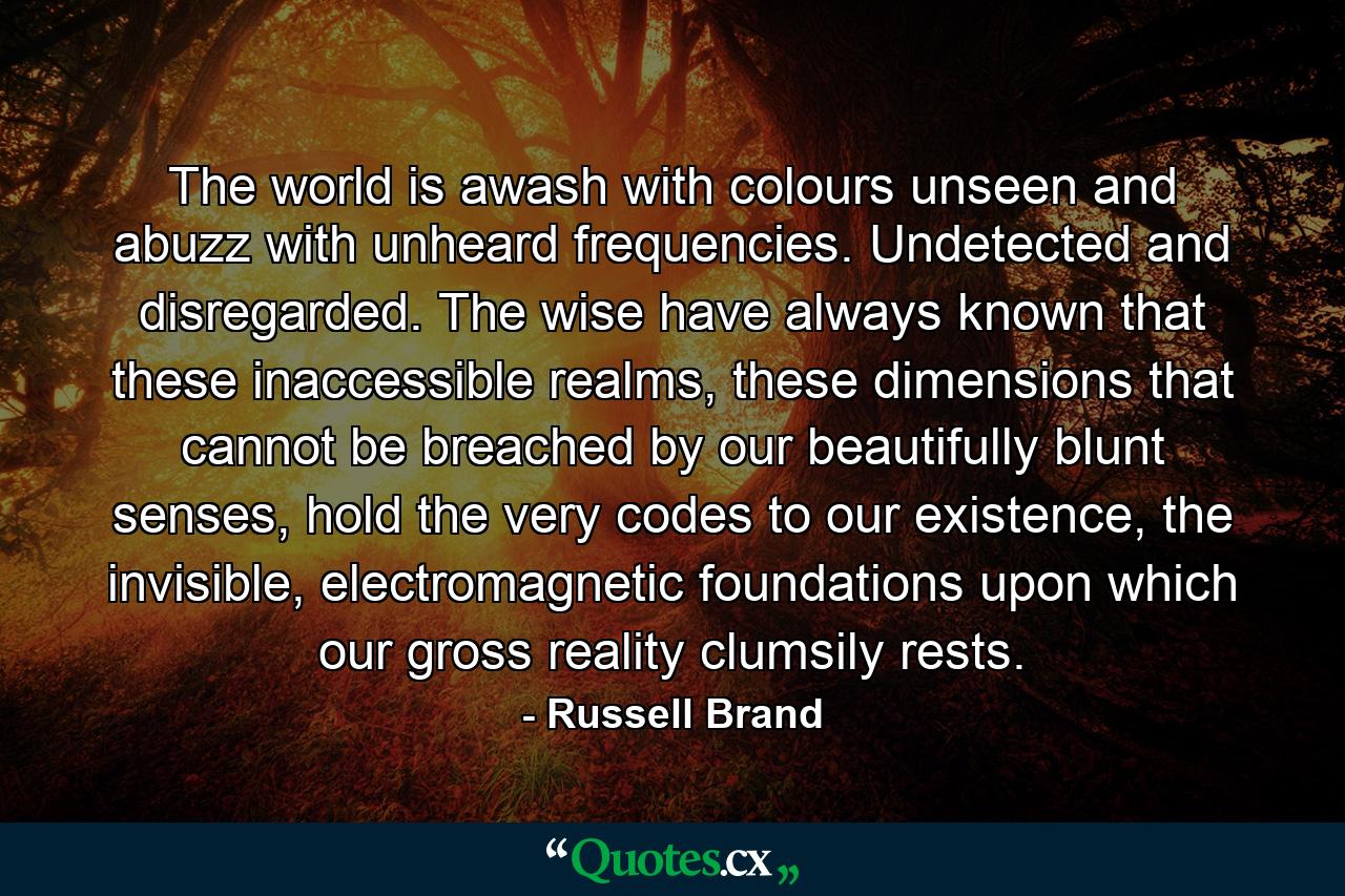 The world is awash with colours unseen and abuzz with unheard frequencies. Undetected and disregarded. The wise have always known that these inaccessible realms, these dimensions that cannot be breached by our beautifully blunt senses, hold the very codes to our existence, the invisible, electromagnetic foundations upon which our gross reality clumsily rests. - Quote by Russell Brand