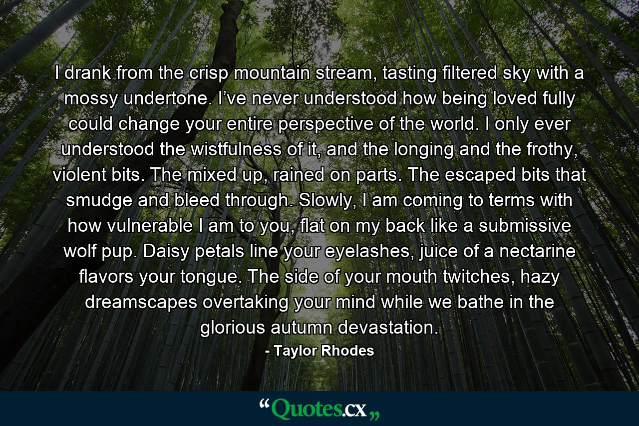 I drank from the crisp mountain stream, tasting filtered sky with a mossy undertone. I’ve never understood how being loved fully could change your entire perspective of the world. I only ever understood the wistfulness of it, and the longing and the frothy, violent bits. The mixed up, rained on parts. The escaped bits that smudge and bleed through. Slowly, I am coming to terms with how vulnerable I am to you, flat on my back like a submissive wolf pup. Daisy petals line your eyelashes, juice of a nectarine flavors your tongue. The side of your mouth twitches, hazy dreamscapes overtaking your mind while we bathe in the glorious autumn devastation. - Quote by Taylor Rhodes