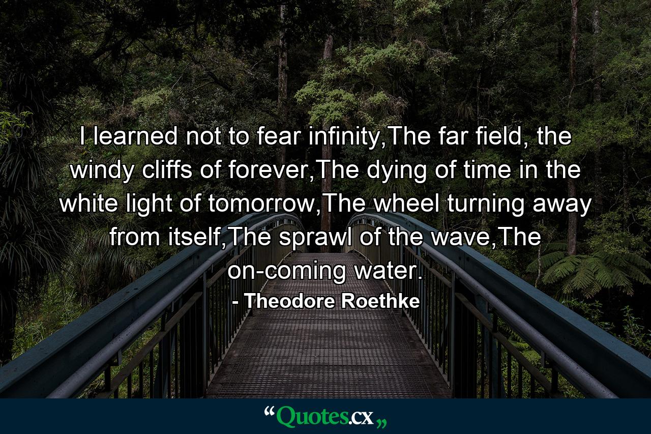 I learned not to fear infinity,The far field, the windy cliffs of forever,The dying of time in the white light of tomorrow,The wheel turning away from itself,The sprawl of the wave,The on-coming water. - Quote by Theodore Roethke