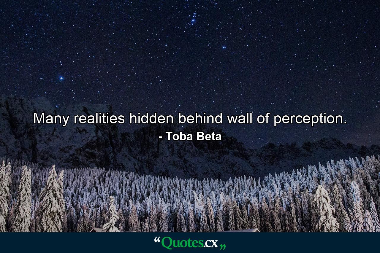 Many realities hidden behind wall of perception. - Quote by Toba Beta