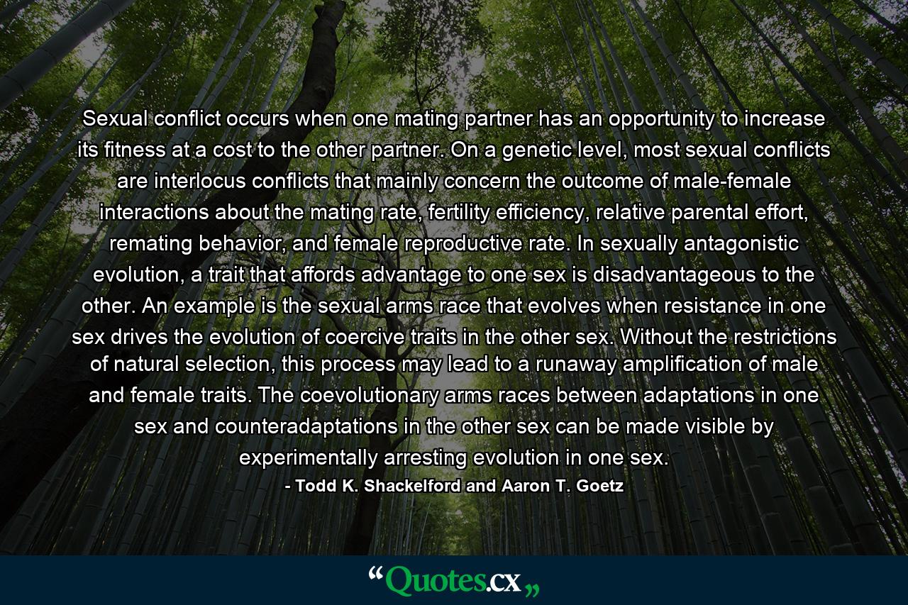 Sexual conflict occurs when one mating partner has an opportunity to increase its fitness at a cost to the other partner. On a genetic level, most sexual conflicts are interlocus conflicts that mainly concern the outcome of male-female interactions about the mating rate, fertility efficiency, relative parental effort, remating behavior, and female reproductive rate. In sexually antagonistic evolution, a trait that affords advantage to one sex is disadvantageous to the other. An example is the sexual arms race that evolves when resistance in one sex drives the evolution of coercive traits in the other sex. Without the restrictions of natural selection, this process may lead to a runaway amplification of male and female traits. The coevolutionary arms races between adaptations in one sex and counteradaptations in the other sex can be made visible by experimentally arresting evolution in one sex. - Quote by Todd K. Shackelford and Aaron T. Goetz