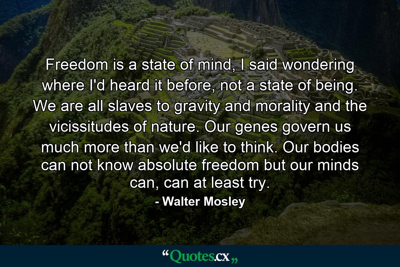 Freedom is a state of mind, I said wondering where I'd heard it before, not a state of being. We are all slaves to gravity and morality and the vicissitudes of nature. Our genes govern us much more than we'd like to think. Our bodies can not know absolute freedom but our minds can, can at least try. - Quote by Walter Mosley