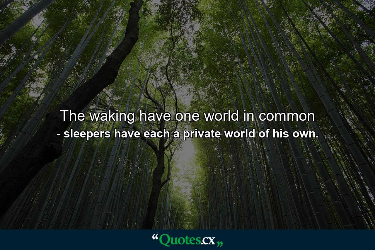 The waking have one world in common - Quote by sleepers have each a private world of his own.