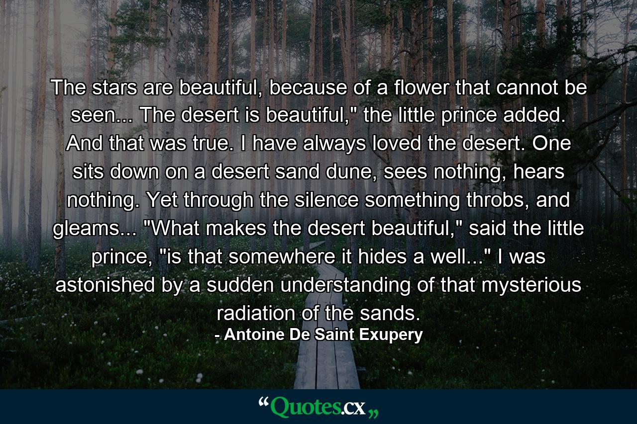 The stars are beautiful, because of a flower that cannot be seen... The desert is beautiful,