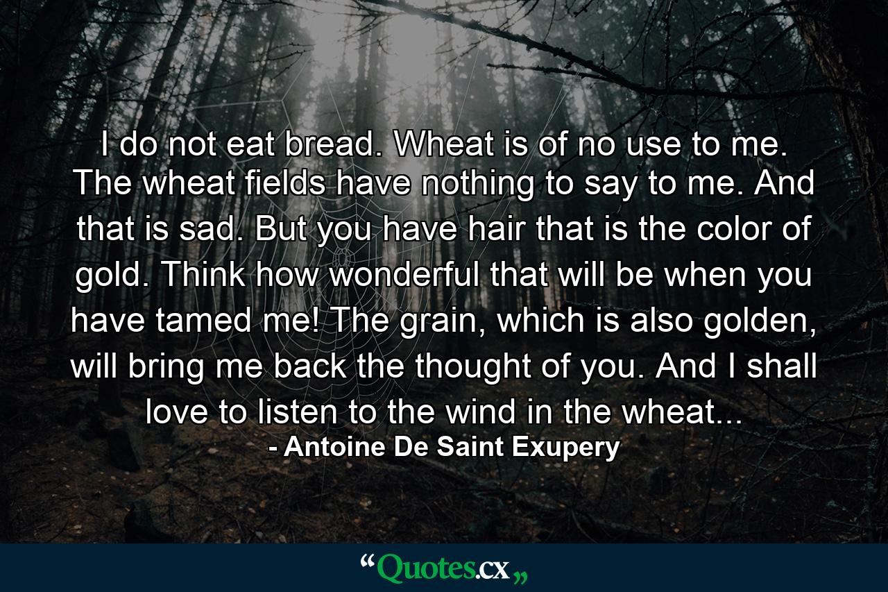 I do not eat bread. Wheat is of no use to me. The wheat fields have nothing to say to me. And that is sad. But you have hair that is the color of gold. Think how wonderful that will be when you have tamed me! The grain, which is also golden, will bring me back the thought of you. And I shall love to listen to the wind in the wheat... - Quote by Antoine De Saint Exupery