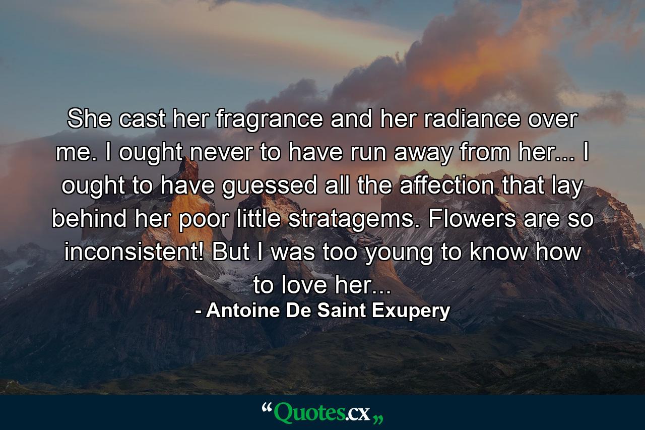 She cast her fragrance and her radiance over me. I ought never to have run away from her... I ought to have guessed all the affection that lay behind her poor little stratagems. Flowers are so inconsistent! But I was too young to know how to love her... - Quote by Antoine De Saint Exupery