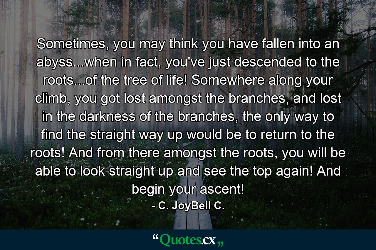 Sometimes, you may think you have fallen into an abyss...when in fact, you've just descended to the roots...of the tree of life! Somewhere along your climb, you got lost amongst the branches, and lost in the darkness of the branches, the only way to find the straight way up would be to return to the roots! And from there amongst the roots, you will be able to look straight up and see the top again! And begin your ascent! - Quote by C. JoyBell C.