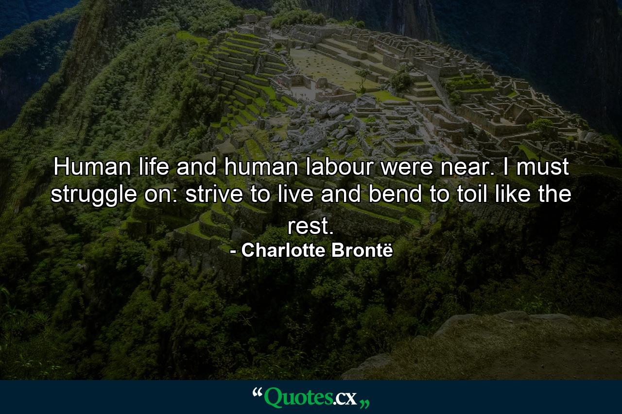 Human life and human labour were near. I must struggle on: strive to live and bend to toil like the rest. - Quote by Charlotte Brontë