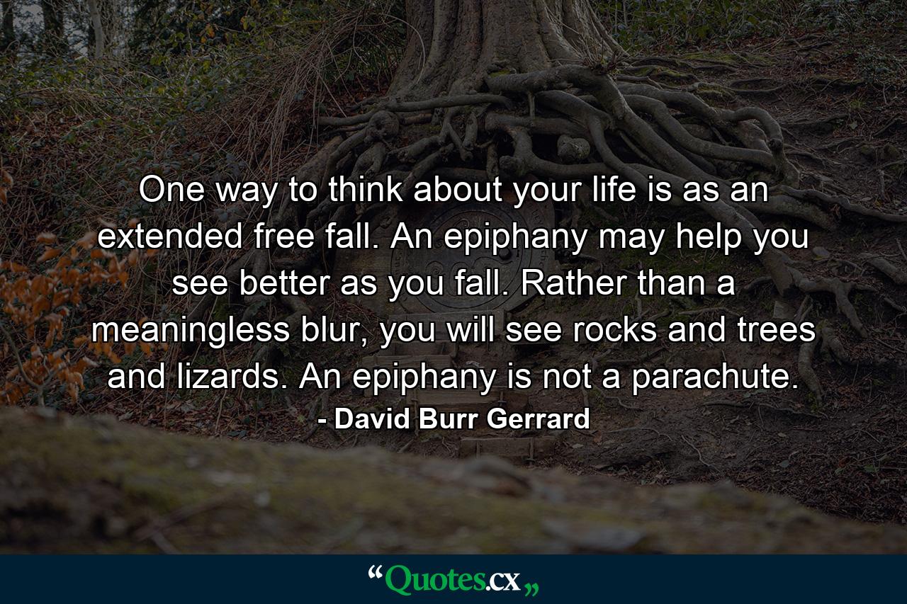 One way to think about your life is as an extended free fall. An epiphany may help you see better as you fall. Rather than a meaningless blur, you will see rocks and trees and lizards. An epiphany is not a parachute. - Quote by David Burr Gerrard