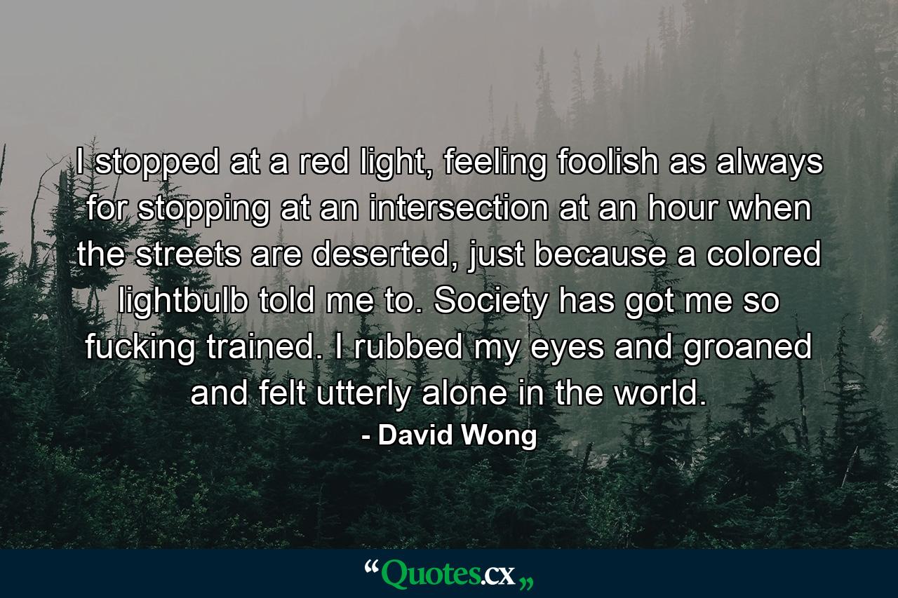 I stopped at a red light, feeling foolish as always for stopping at an intersection at an hour when the streets are deserted, just because a colored lightbulb told me to. Society has got me so fucking trained. I rubbed my eyes and groaned and felt utterly alone in the world. - Quote by David Wong