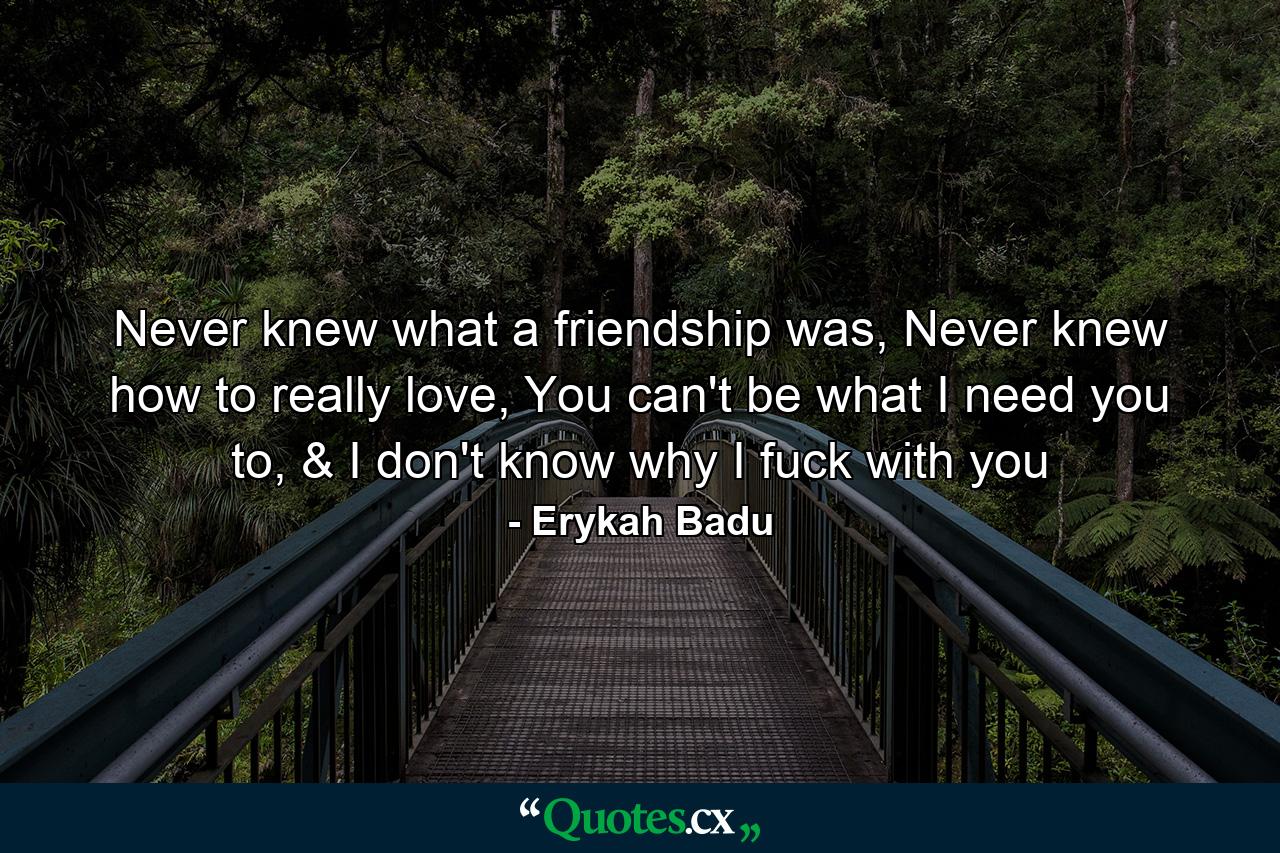 Never knew what a friendship was, Never knew how to really love, You can't be what I need you to, & I don't know why I fuck with you - Quote by Erykah Badu