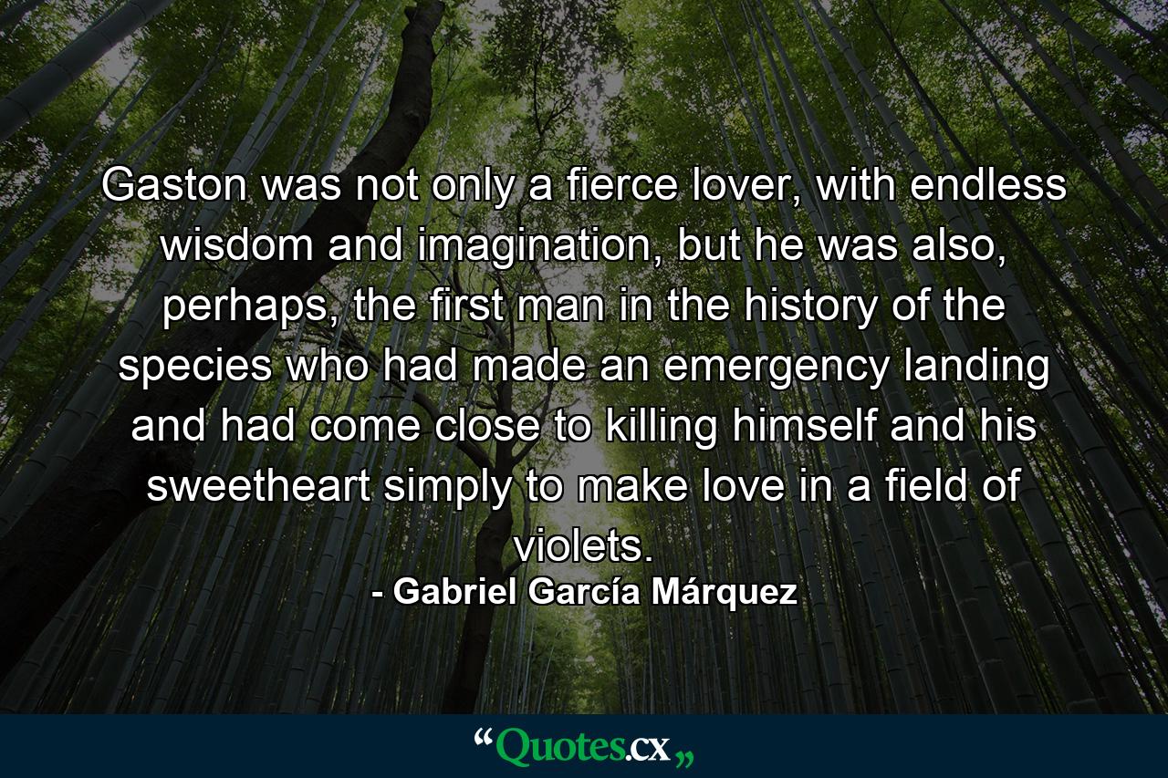 Gaston was not only a fierce lover, with endless wisdom and imagination, but he was also, perhaps, the first man in the history of the species who had made an emergency landing and had come close to killing himself and his sweetheart simply to make love in a field of violets. - Quote by Gabriel García Márquez