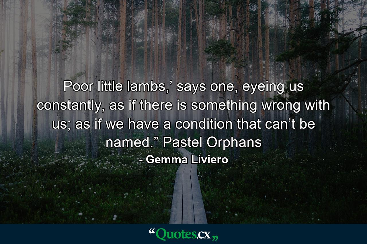 Poor little lambs,’ says one, eyeing us constantly, as if there is something wrong with us; as if we have a condition that can’t be named.” Pastel Orphans - Quote by Gemma Liviero