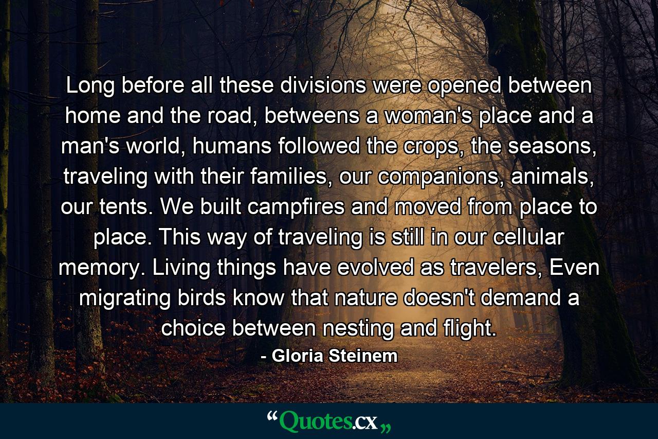 Long before all these divisions were opened between home and the road, betweens a woman's place and a man's world, humans followed the crops, the seasons, traveling with their families, our companions, animals, our tents. We built campfires and moved from place to place. This way of traveling is still in our cellular memory. Living things have evolved as travelers, Even migrating birds know that nature doesn't demand a choice between nesting and flight. - Quote by Gloria Steinem