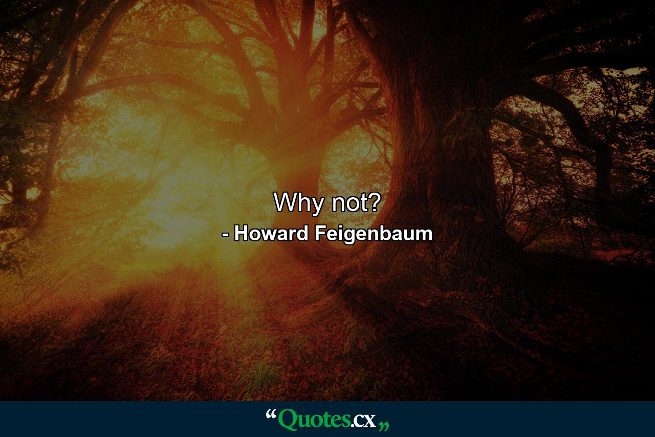 Why not? - Quote by Howard Feigenbaum