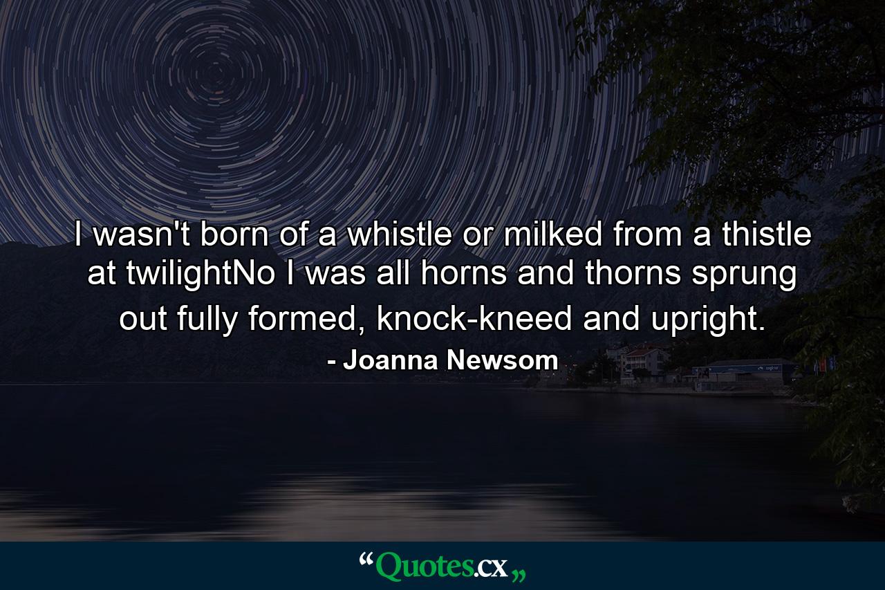 I wasn't born of a whistle or milked from a thistle at twilightNo I was all horns and thorns sprung out fully formed, knock-kneed and upright. - Quote by Joanna Newsom