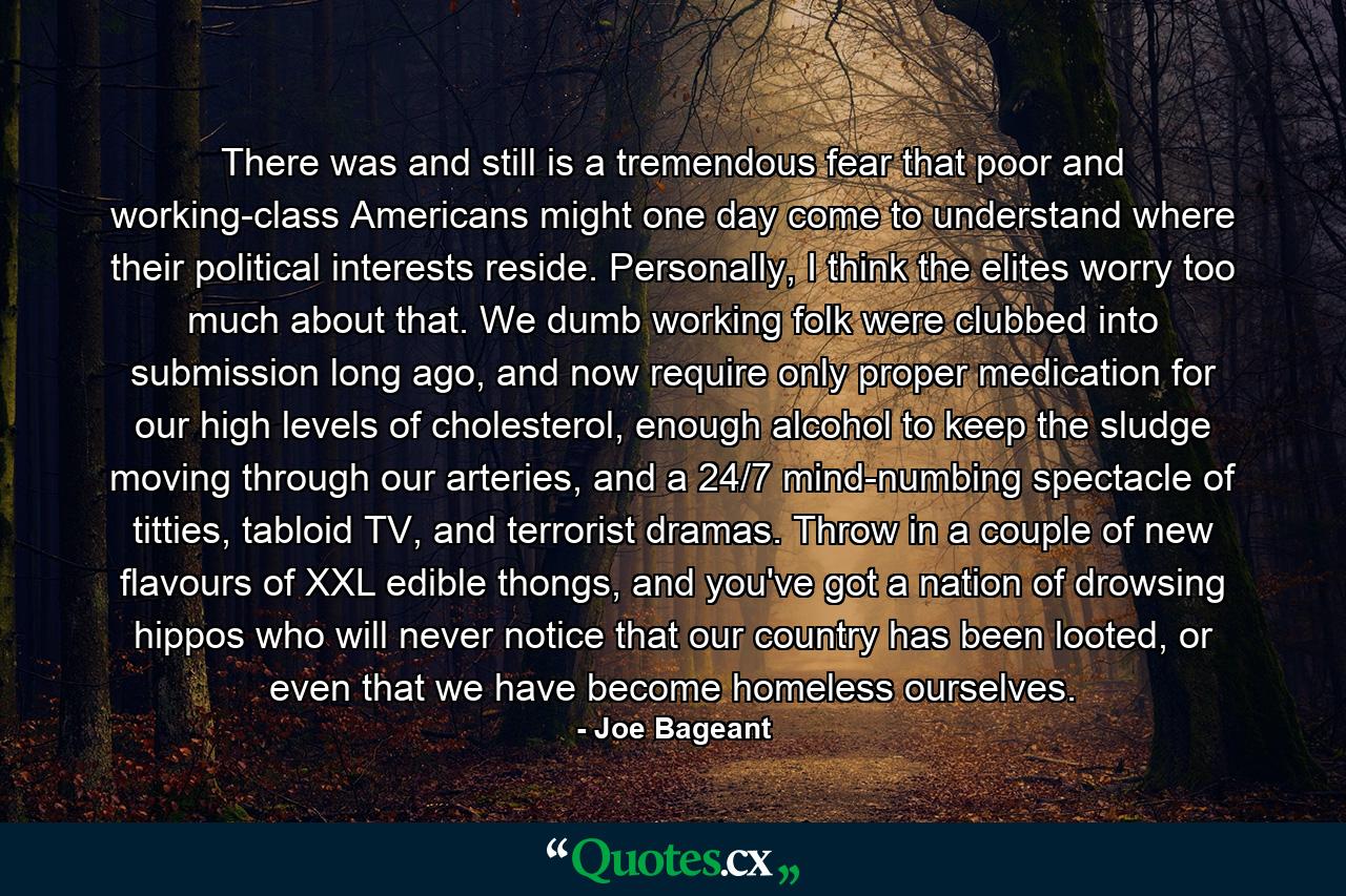 There was and still is a tremendous fear that poor and working-class Americans might one day come to understand where their political interests reside. Personally, I think the elites worry too much about that. We dumb working folk were clubbed into submission long ago, and now require only proper medication for our high levels of cholesterol, enough alcohol to keep the sludge moving through our arteries, and a 24/7 mind-numbing spectacle of titties, tabloid TV, and terrorist dramas. Throw in a couple of new flavours of XXL edible thongs, and you've got a nation of drowsing hippos who will never notice that our country has been looted, or even that we have become homeless ourselves. - Quote by Joe Bageant