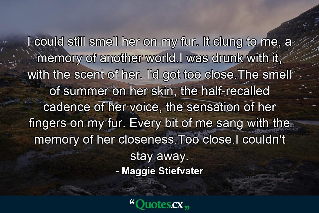 I could still smell her on my fur. It clung to me, a memory of another world.I was drunk with it, with the scent of her. I'd got too close.The smell of summer on her skin, the half-recalled cadence of her voice, the sensation of her fingers on my fur. Every bit of me sang with the memory of her closeness.Too close.I couldn't stay away. - Quote by Maggie Stiefvater