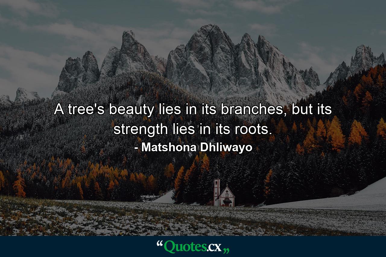 A tree's beauty lies in its branches, but its strength lies in its roots. - Quote by Matshona Dhliwayo