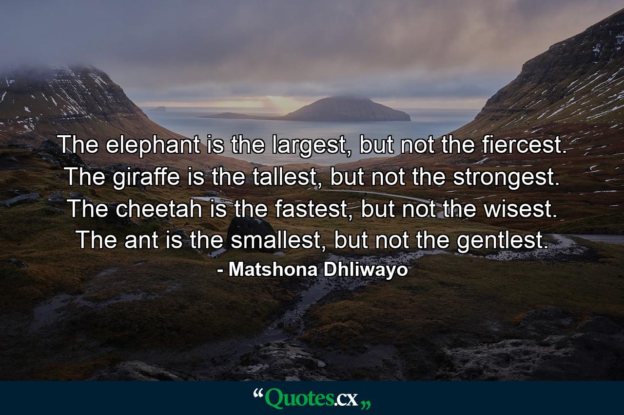 The elephant is the largest, but not the fiercest. The giraffe is the tallest, but not the strongest. The cheetah is the fastest, but not the wisest. The ant is the smallest, but not the gentlest. - Quote by Matshona Dhliwayo