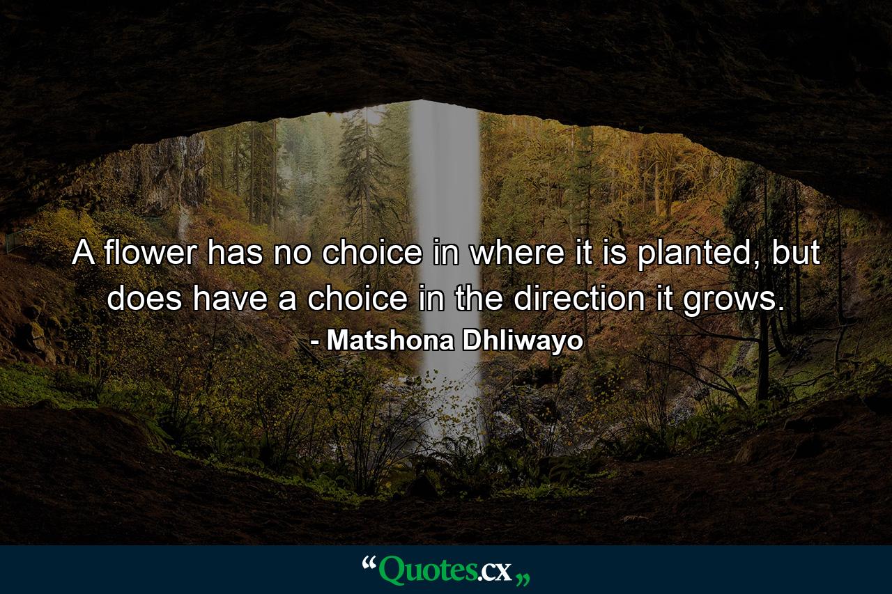 A flower has no choice in where it is planted, but does have a choice in the direction it grows. - Quote by Matshona Dhliwayo