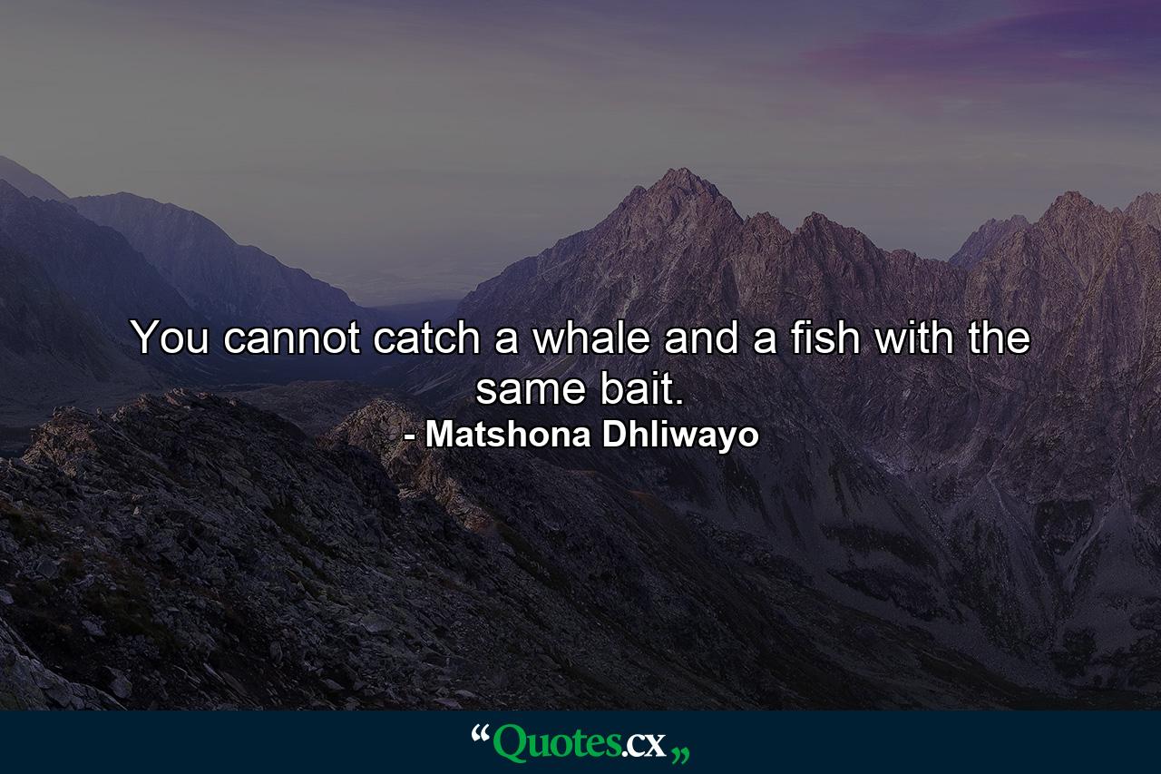 You cannot catch a whale and a fish with the same bait. - Quote by Matshona Dhliwayo