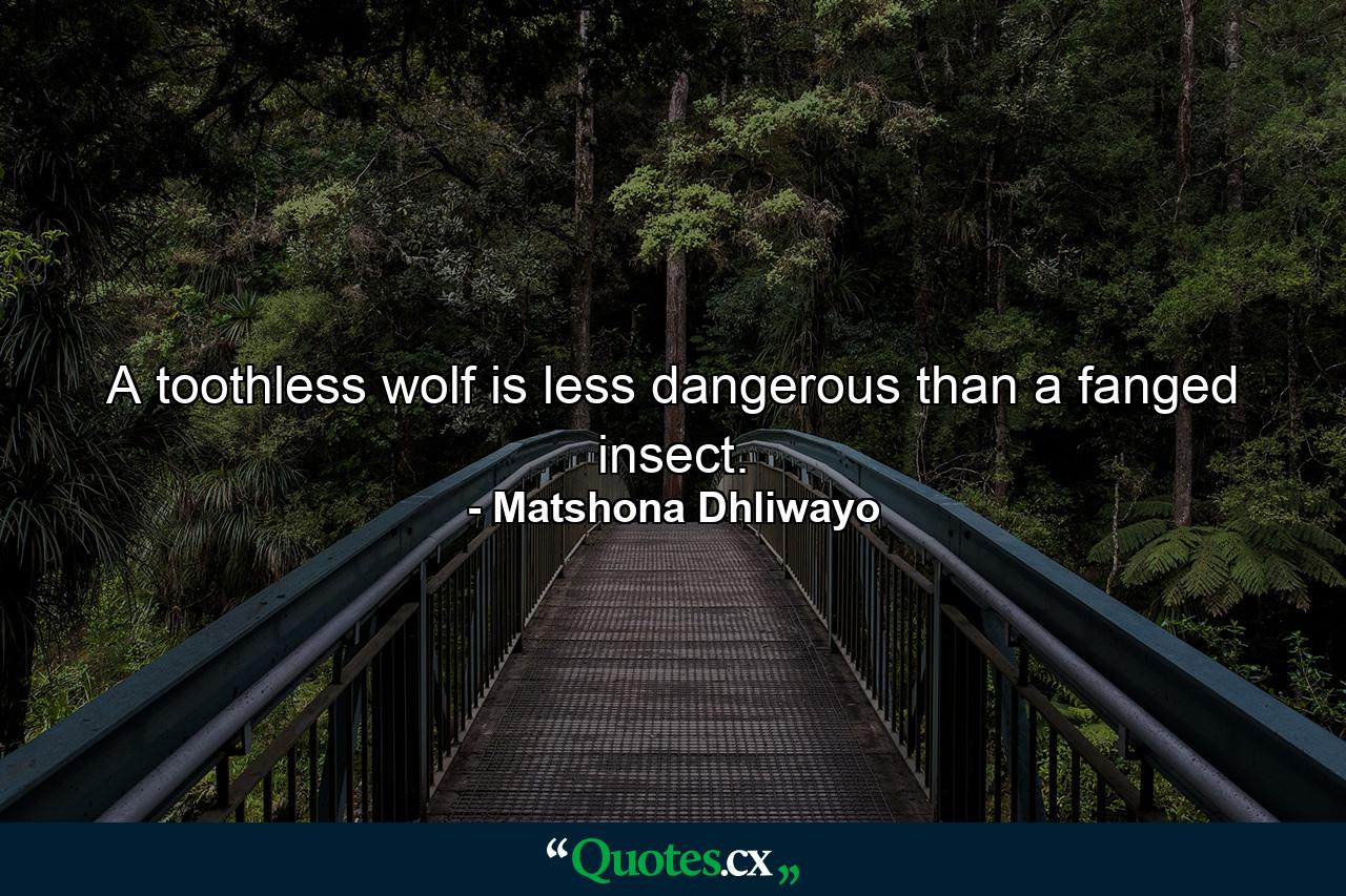 A toothless wolf is less dangerous than a fanged insect. - Quote by Matshona Dhliwayo