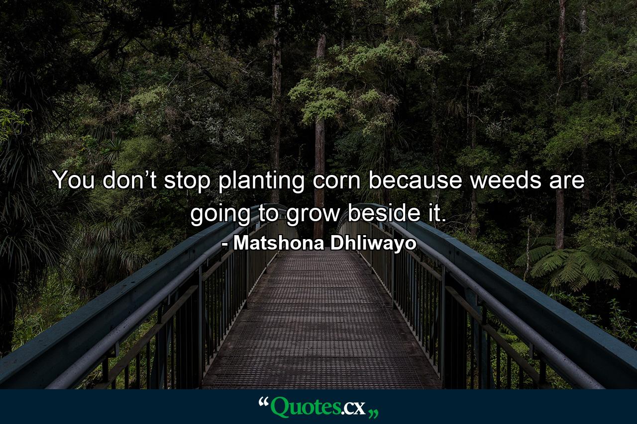 You don’t stop planting corn because weeds are going to grow beside it. - Quote by Matshona Dhliwayo