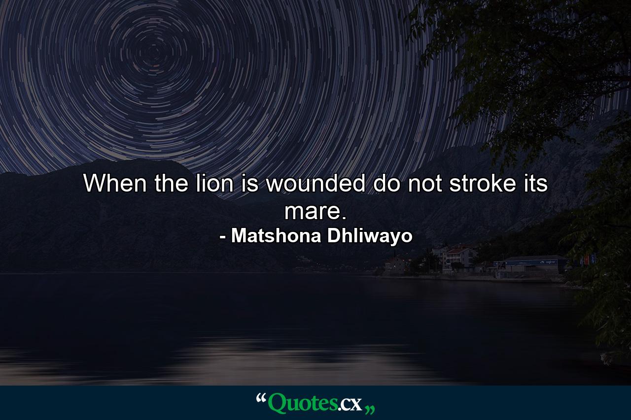 When the lion is wounded do not stroke its mare. - Quote by Matshona Dhliwayo