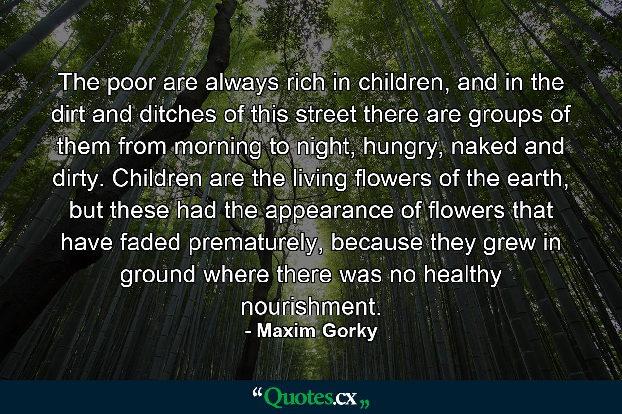 The poor are always rich in children, and in the dirt and ditches of this street there are groups of them from morning to night, hungry, naked and dirty. Children are the living flowers of the earth, but these had the appearance of flowers that have faded prematurely, because they grew in ground where there was no healthy nourishment. - Quote by Maxim Gorky