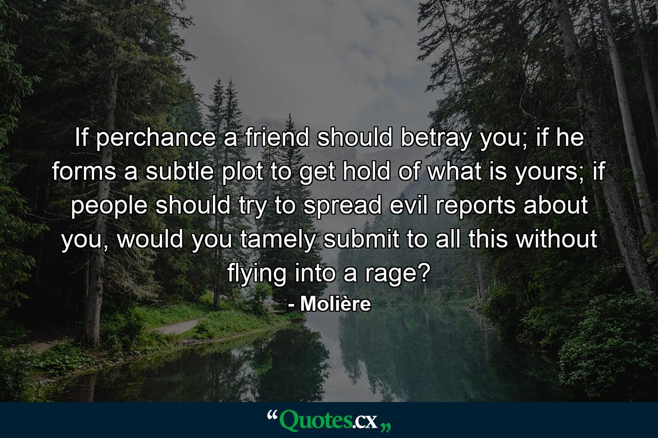 If perchance a friend should betray you; if he forms a subtle plot to get hold of what is yours; if people should try to spread evil reports about you, would you tamely submit to all this without flying into a rage? - Quote by Molière