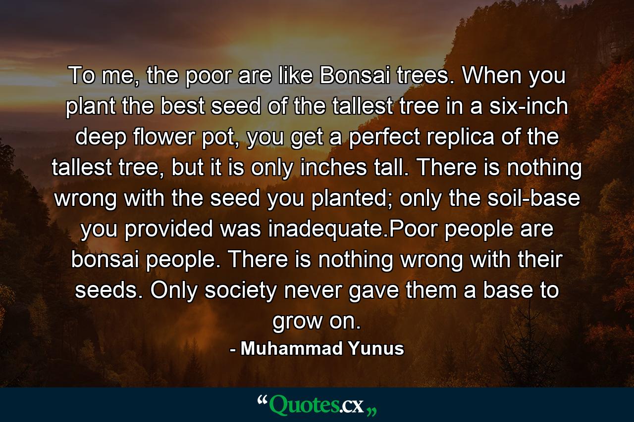 To me, the poor are like Bonsai trees. When you plant the best seed of the tallest tree in a six-inch deep flower pot, you get a perfect replica of the tallest tree, but it is only inches tall. There is nothing wrong with the seed you planted; only the soil-base you provided was inadequate.Poor people are bonsai people. There is nothing wrong with their seeds. Only society never gave them a base to grow on. - Quote by Muhammad Yunus