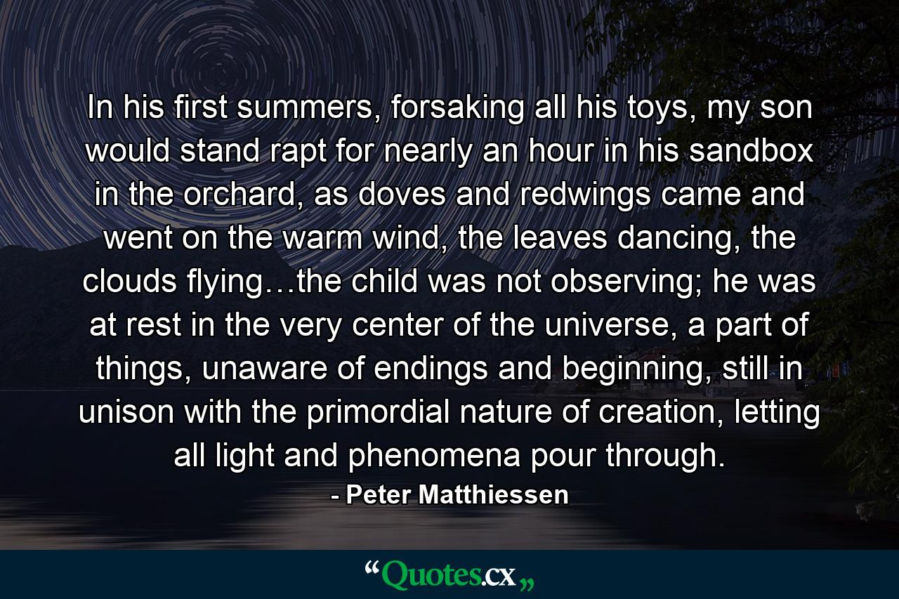 In his first summers, forsaking all his toys, my son would stand rapt for nearly an hour in his sandbox in the orchard, as doves and redwings came and went on the warm wind, the leaves dancing, the clouds flying…the child was not observing; he was at rest in the very center of the universe, a part of things, unaware of endings and beginning, still in unison with the primordial nature of creation, letting all light and phenomena pour through. - Quote by Peter Matthiessen