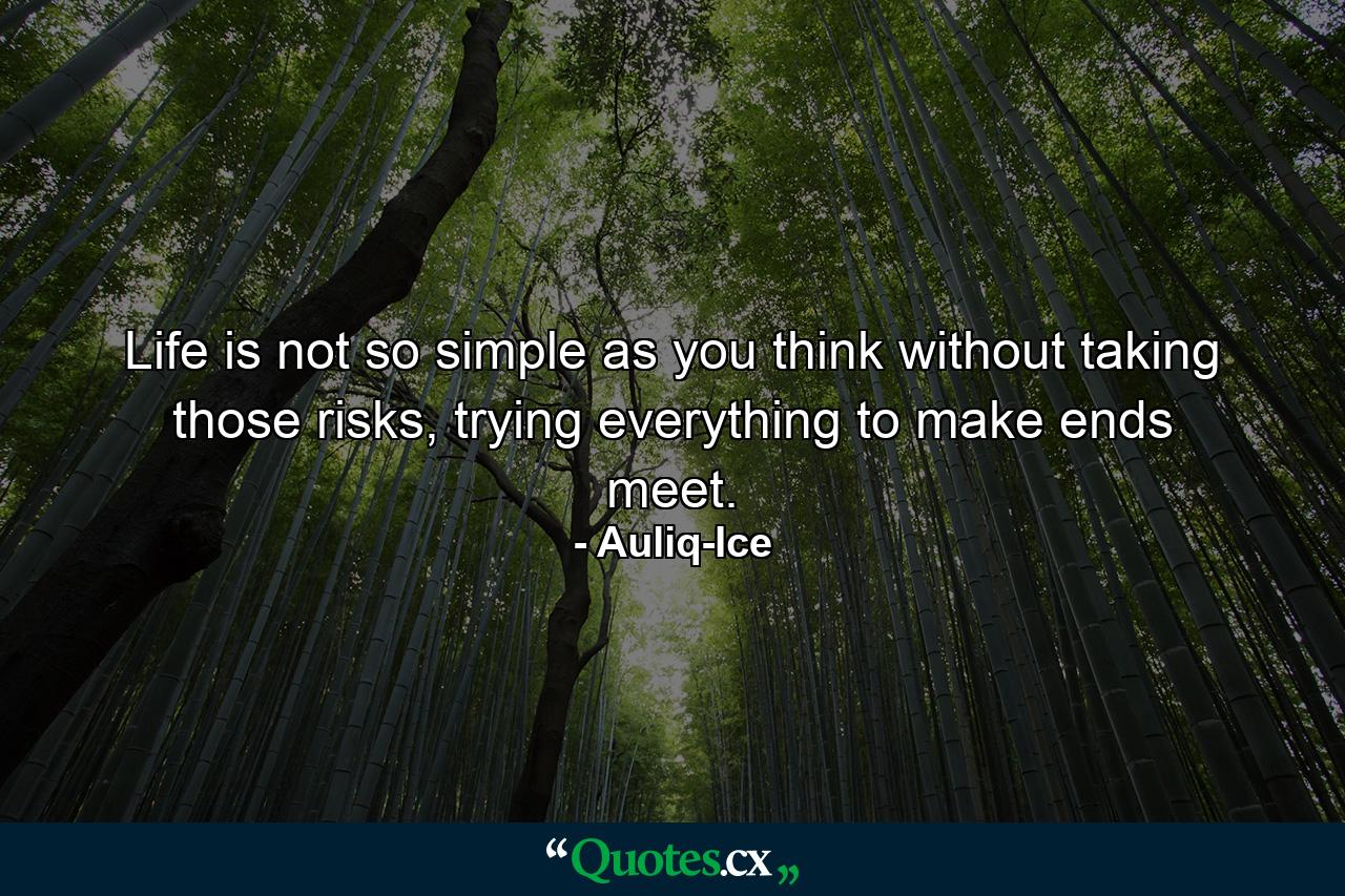 Life is not so simple as you think without taking those risks, trying everything to make ends meet. - Quote by Auliq-Ice