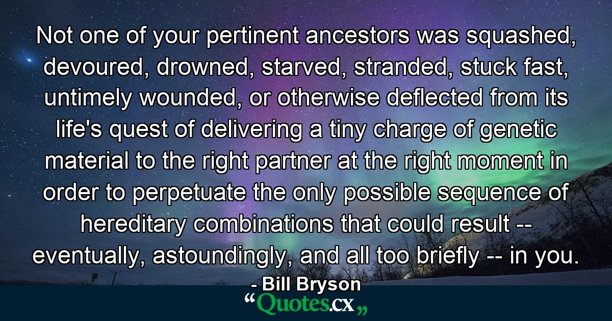 Not one of your pertinent ancestors was squashed, devoured, drowned, starved, stranded, stuck fast, untimely wounded, or otherwise deflected from its life's quest of delivering a tiny charge of genetic material to the right partner at the right moment in order to perpetuate the only possible sequence of hereditary combinations that could result -- eventually, astoundingly, and all too briefly -- in you. - Quote by Bill Bryson