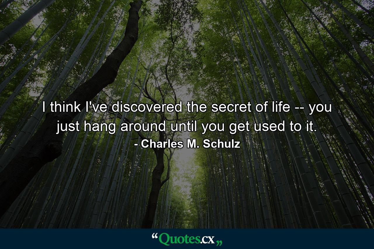 I think I've discovered the secret of life -- you just hang around until you get used to it. - Quote by Charles M. Schulz