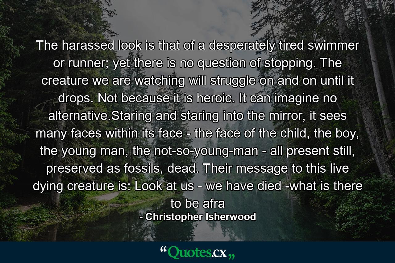 The harassed look is that of a desperately tired swimmer or runner; yet there is no question of stopping. The creature we are watching will struggle on and on until it drops. Not because it is heroic. It can imagine no alternative.Staring and staring into the mirror, it sees many faces within its face - the face of the child, the boy, the young man, the not-so-young-man - all present still, preserved as fossils, dead. Their message to this live dying creature is: Look at us - we have died -what is there to be afra - Quote by Christopher Isherwood