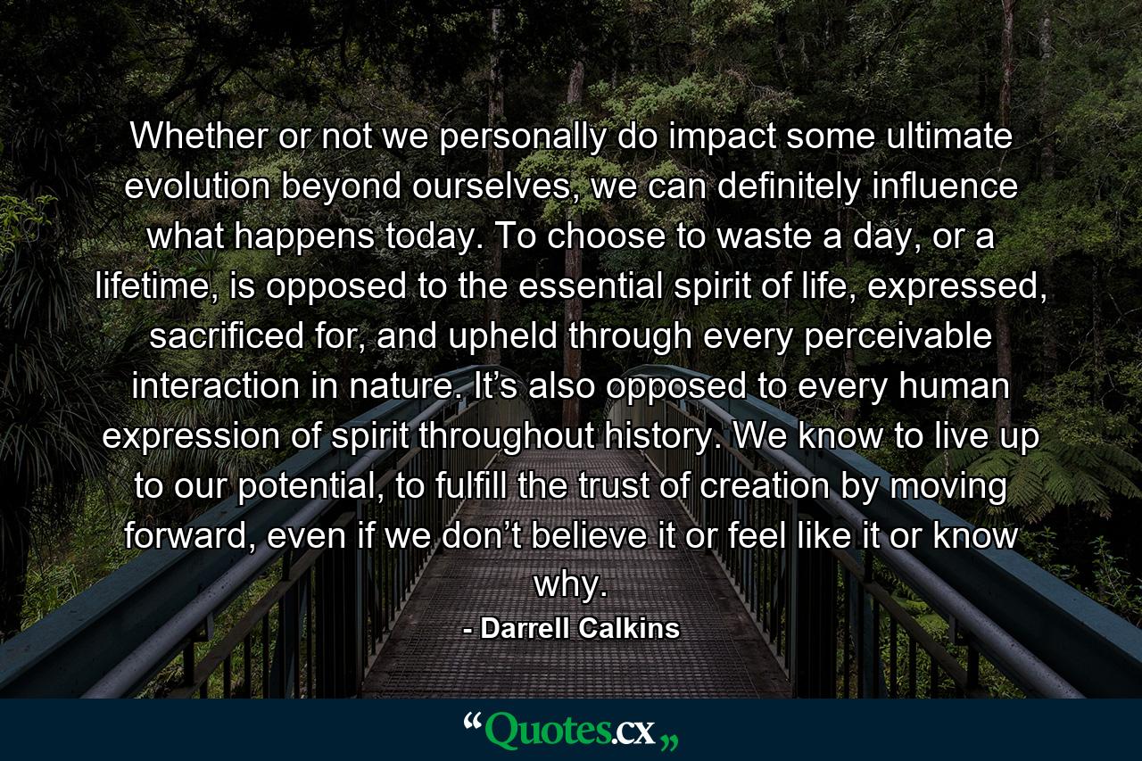 Whether or not we personally do impact some ultimate evolution beyond ourselves, we can definitely influence what happens today. To choose to waste a day, or a lifetime, is opposed to the essential spirit of life, expressed, sacrificed for, and upheld through every perceivable interaction in nature. It’s also opposed to every human expression of spirit throughout history. We know to live up to our potential, to fulfill the trust of creation by moving forward, even if we don’t believe it or feel like it or know why. - Quote by Darrell Calkins