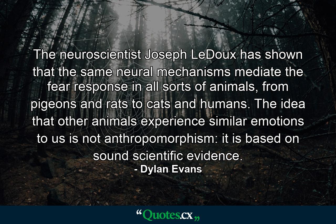 The neuroscientist Joseph LeDoux has shown that the same neural mechanisms mediate the fear response in all sorts of animals, from pigeons and rats to cats and humans. The idea that other animals experience similar emotions to us is not anthropomorphism: it is based on sound scientific evidence. - Quote by Dylan Evans