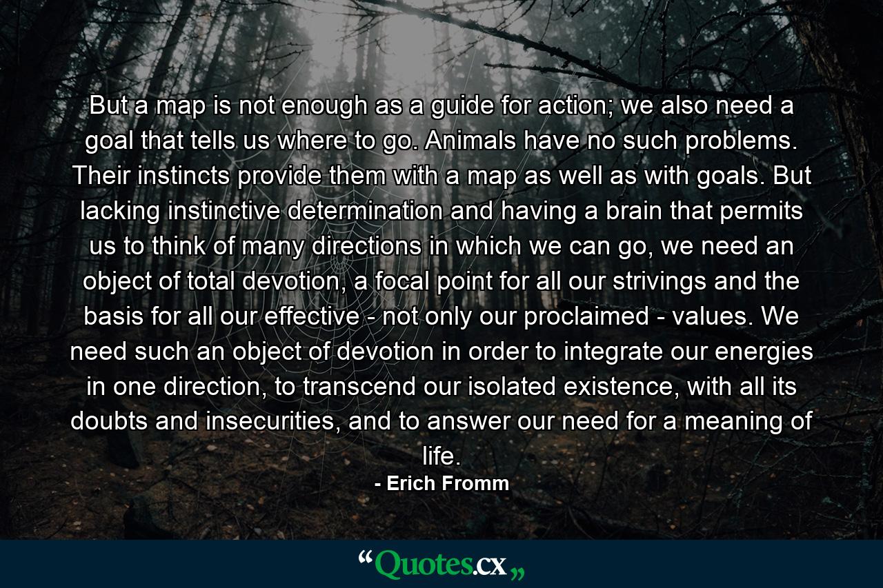 But a map is not enough as a guide for action; we also need a goal that tells us where to go. Animals have no such problems. Their instincts provide them with a map as well as with goals. But lacking instinctive determination and having a brain that permits us to think of many directions in which we can go, we need an object of total devotion, a focal point for all our strivings and the basis for all our effective - not only our proclaimed - values. We need such an object of devotion in order to integrate our energies in one direction, to transcend our isolated existence, with all its doubts and insecurities, and to answer our need for a meaning of life. - Quote by Erich Fromm