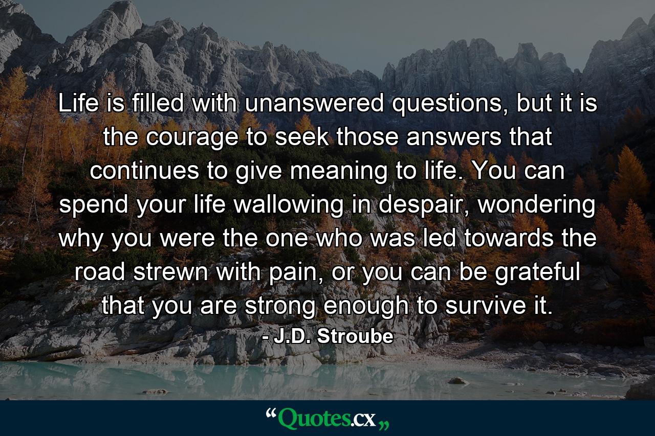 Life is filled with unanswered questions, but it is the courage to seek those answers that continues to give meaning to life. You can spend your life wallowing in despair, wondering why you were the one who was led towards the road strewn with pain, or you can be grateful that you are strong enough to survive it. - Quote by J.D. Stroube