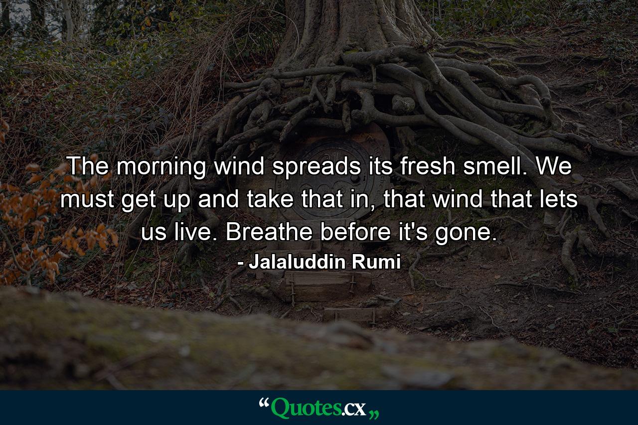 The morning wind spreads its fresh smell. We must get up and take that in, that wind that lets us live. Breathe before it's gone. - Quote by Jalaluddin Rumi