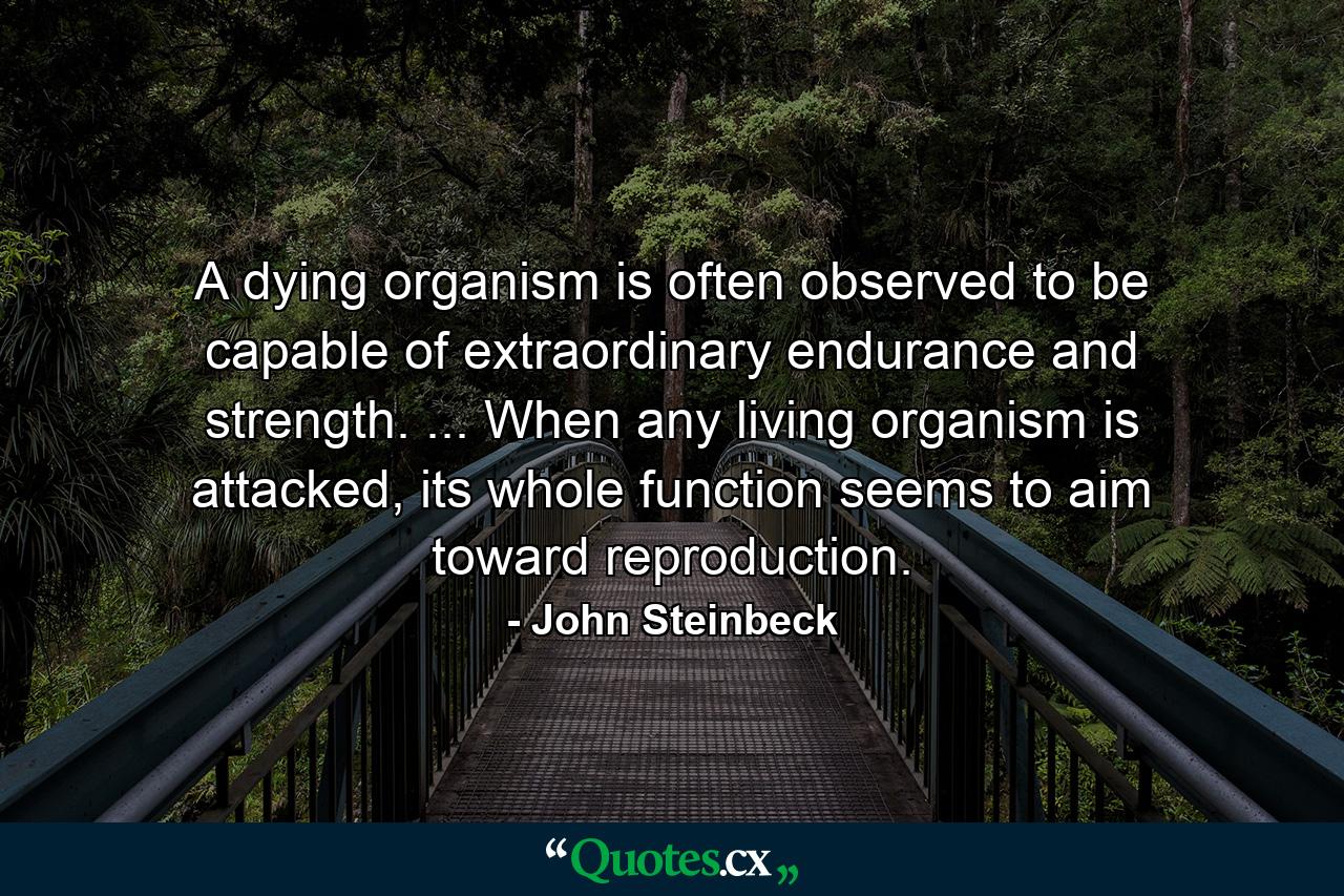 A dying organism is often observed to be capable of extraordinary endurance and strength. ... When any living organism is attacked, its whole function seems to aim toward reproduction. - Quote by John Steinbeck