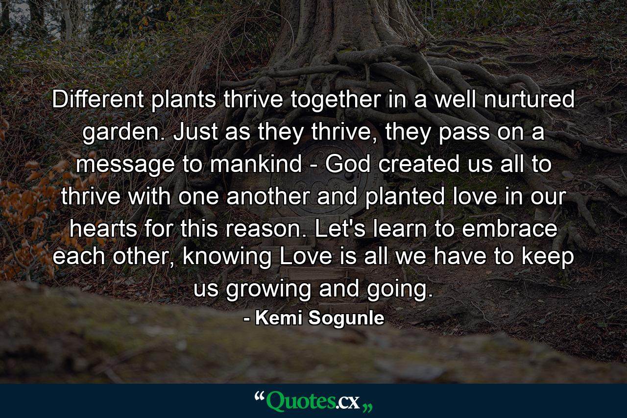 Different plants thrive together in a well nurtured garden. Just as they thrive, they pass on a message to mankind - God created us all to thrive with one another and planted love in our hearts for this reason. Let's learn to embrace each other, knowing Love is all we have to keep us growing and going. - Quote by Kemi Sogunle