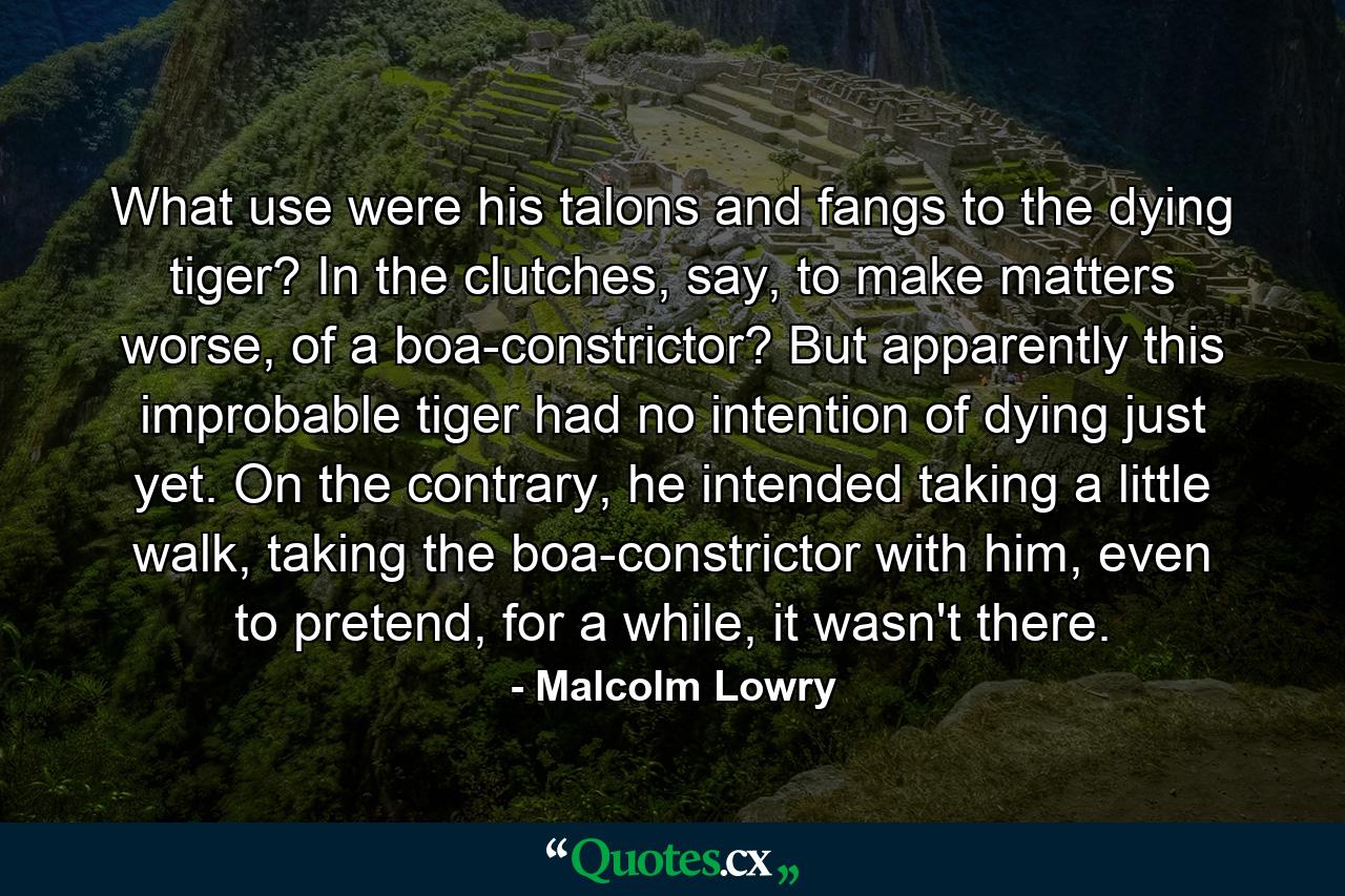 What use were his talons and fangs to the dying tiger? In the clutches, say, to make matters worse, of a boa-constrictor? But apparently this improbable tiger had no intention of dying just yet. On the contrary, he intended taking a little walk, taking the boa-constrictor with him, even to pretend, for a while, it wasn't there. - Quote by Malcolm Lowry